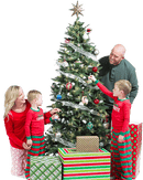 Christmas Ornament Kit | DIY Craft - Family Fun - TreeMendous